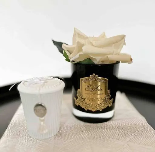 Le Bruna: 4 Prs, Clim, 10 Min Plages 昂蒂布